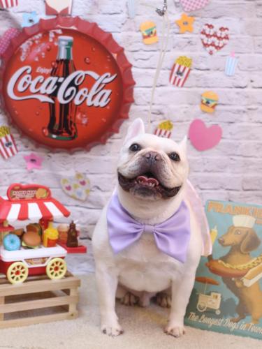 20230928まろんくん